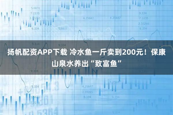 扬帆配资APP下载 冷水鱼一斤卖到200元！保康山泉水养出“致富鱼”